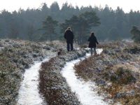 Hund wandern Nationalpark Meinweg